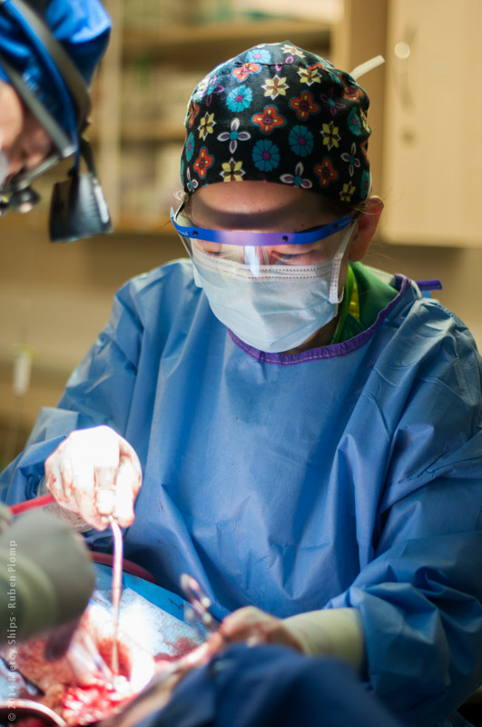 CGA140124_SURGERY_DR_CHENG_DR_CHOU_RP0012_LO - Copy.jpg